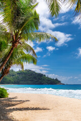 Beautiful Tropical Beach With Palms And Turquoise Sea In Jamaica Island Summer Vacation And Tropical Beach Concept Wall Mural Questions & Answers