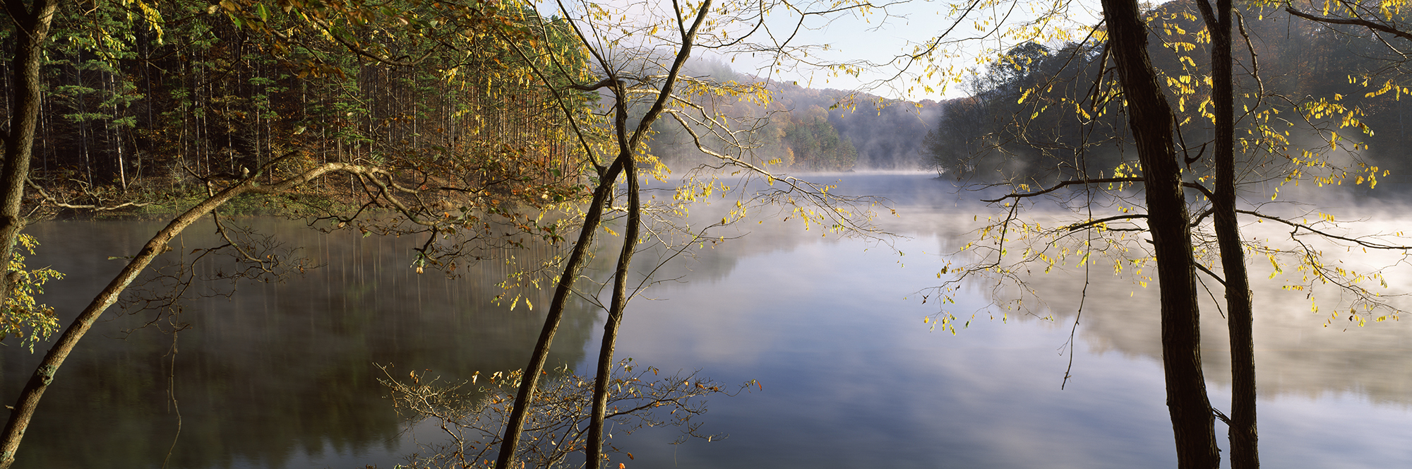 Morning Mist Around A Lake, Lake Vesuvius, Wayne National Forest, Ohio, USA Wall Mural Questions & Answers