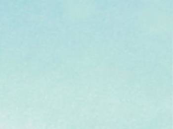 Windshield Tinted Questions & Answers