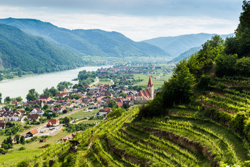 Scenic View Into The Wachau With The River Danube And Town Weissenkirchen In Lower Austria Wall Mural Questions & Answers