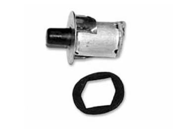 What type of product is this?